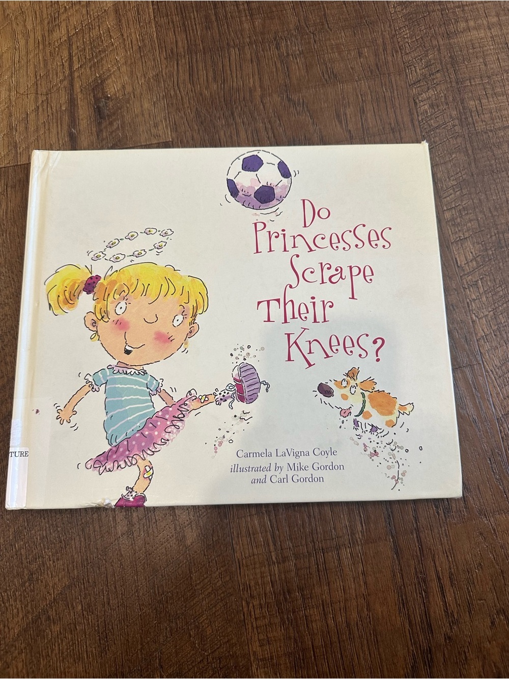 Princess scrape their knees book